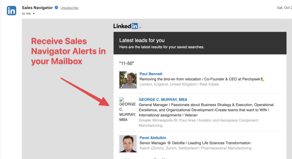 sales navigator alerts email