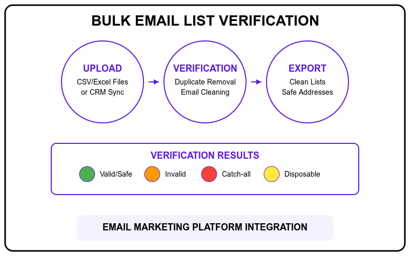 bulk email list verification and cleaning