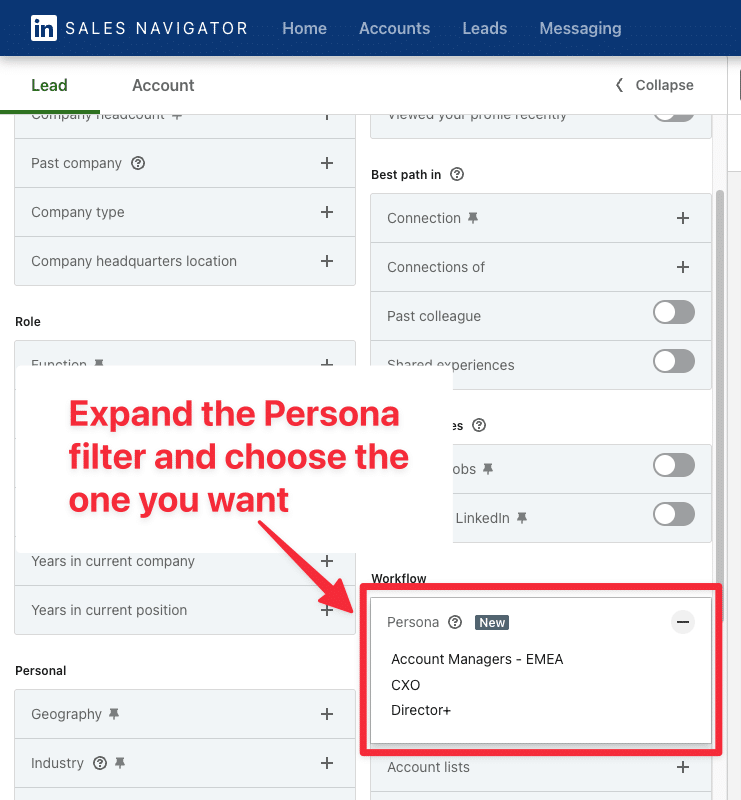 personas filter in lead searches